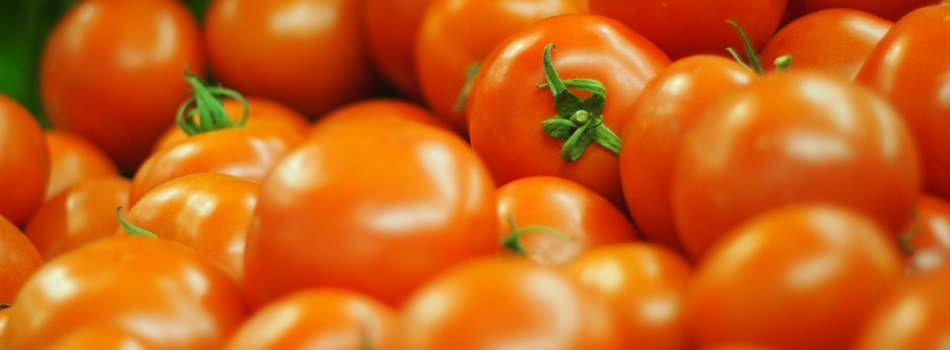 Slider Biomarkt Greger Kassel